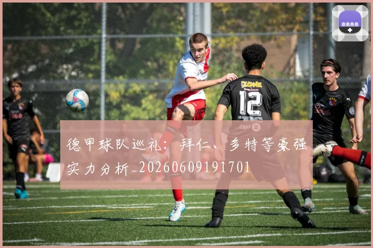 德甲球队巡礼:拜仁、多特等豪强实力分析_20260609191701